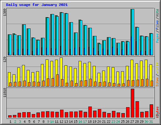 Daily usage for January 2021