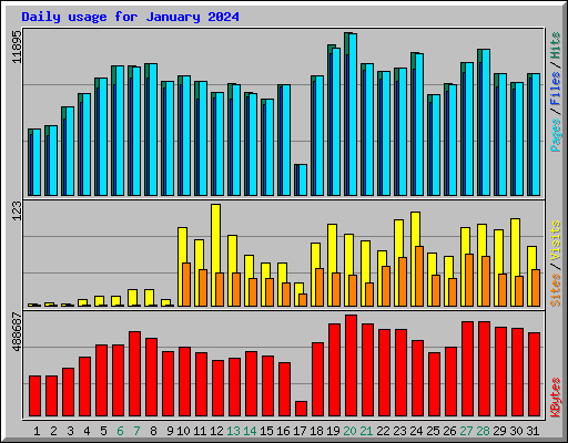 Daily usage for January 2024