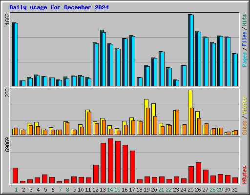 Daily usage for December 2024