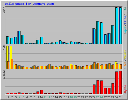 Daily usage for January 2025