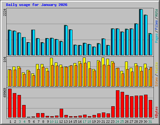 Daily usage for January 2026
