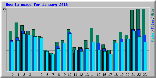 Hourly usage for January 2013