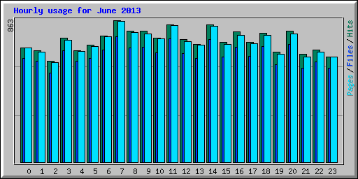 Hourly usage for June 2013