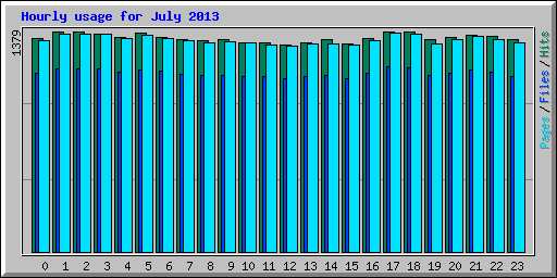 Hourly usage for July 2013