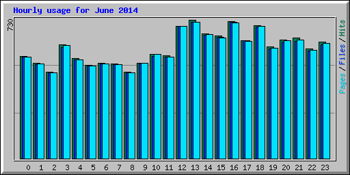 Hourly usage for June 2014