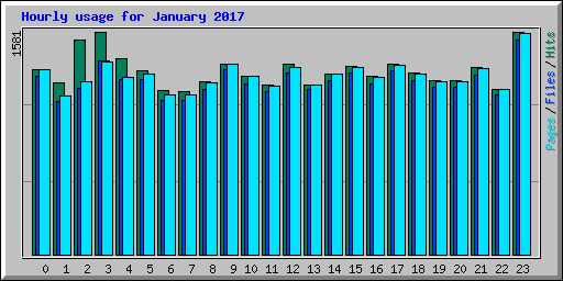 Hourly usage for January 2017