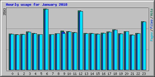 Hourly usage for January 2018