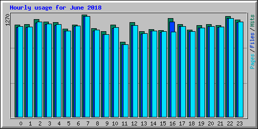 Hourly usage for June 2018