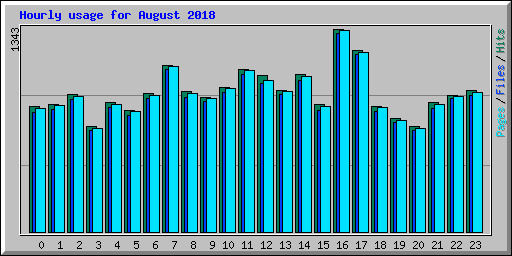 Hourly usage for August 2018