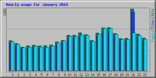 Hourly usage for January 2019