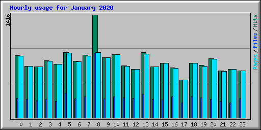 Hourly usage for January 2020