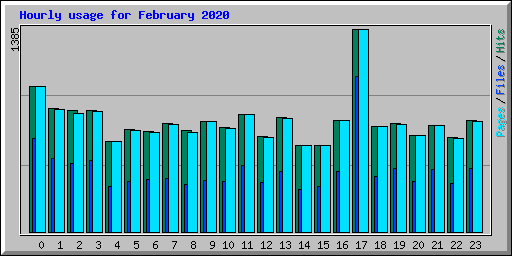 Hourly usage for February 2020