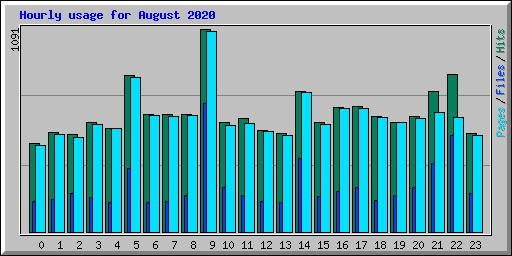 Hourly usage for August 2020