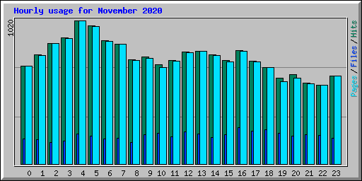 Hourly usage for November 2020