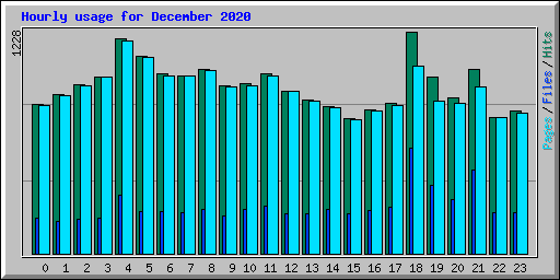 Hourly usage for December 2020