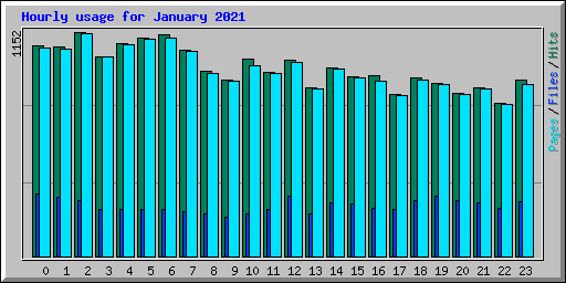 Hourly usage for January 2021