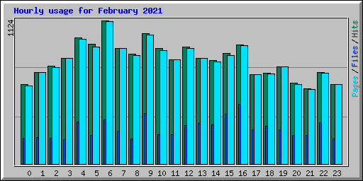 Hourly usage for February 2021