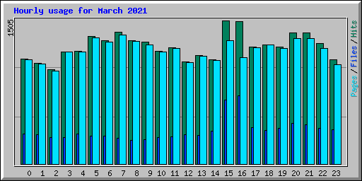Hourly usage for March 2021
