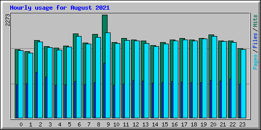 Hourly usage for August 2021