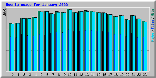 Hourly usage for January 2022