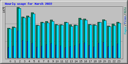 Hourly usage for March 2022