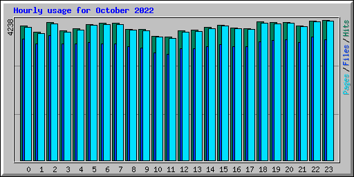 Hourly usage for October 2022