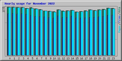 Hourly usage for November 2022