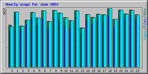Hourly usage for June 2023