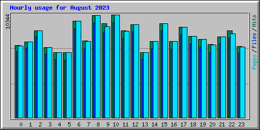 Hourly usage for August 2023