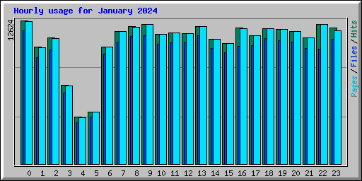 Hourly usage for January 2024