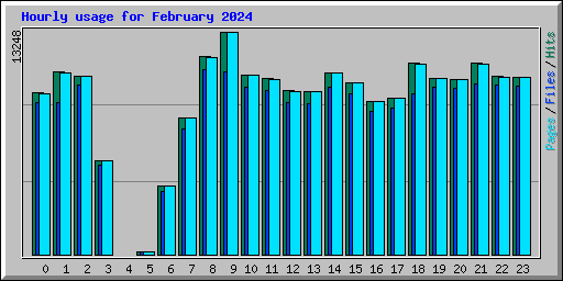 Hourly usage for February 2024