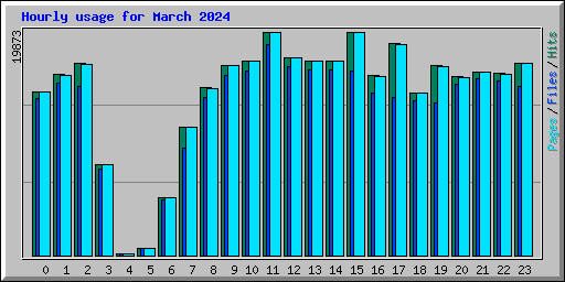 Hourly usage for March 2024