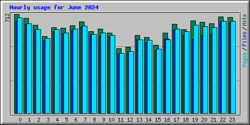 Hourly usage for June 2024
