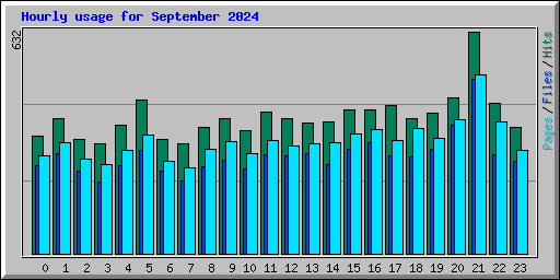 Hourly usage for September 2024