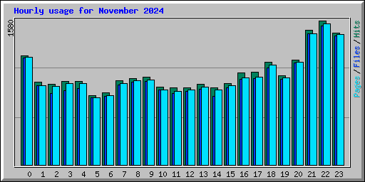 Hourly usage for November 2024
