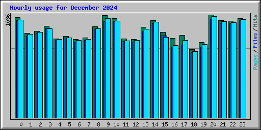 Hourly usage for December 2024