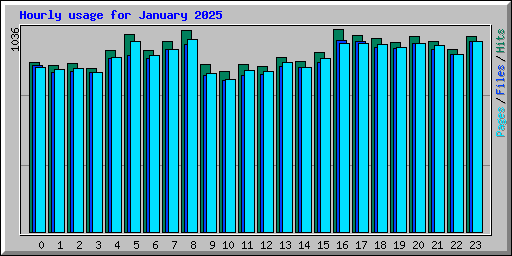 Hourly usage for January 2025