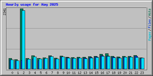 Hourly usage for May 2025