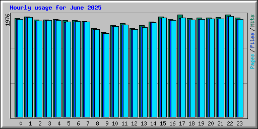 Hourly usage for June 2025