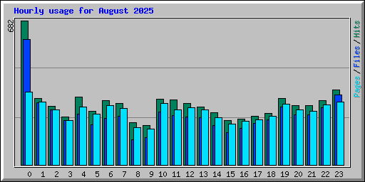 Hourly usage for August 2025