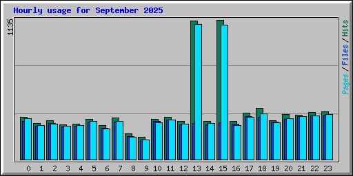 Hourly usage for September 2025