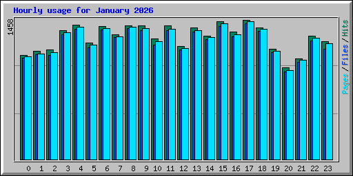 Hourly usage for January 2026