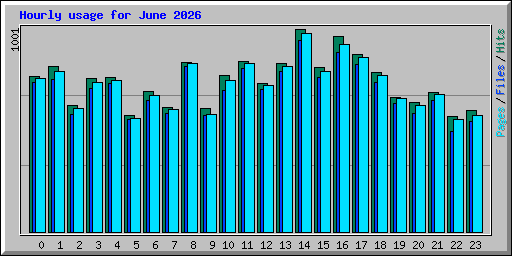 Hourly usage for June 2026